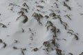 Snow cowering brown ground