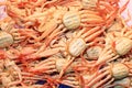 Snow crab