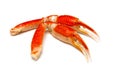 Snow crab (Chionoecetes opilio) or Tanner crab.