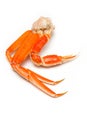 Snow crab (Chionoecetes opilio) or Tanner crab.