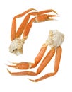 Snow crab  clusters  on a white  background Royalty Free Stock Photo