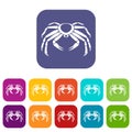 Snow crab icons set flat