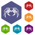 Snow crab icons set hexagon