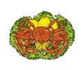 Snow Crab with lemon and vegetable on white background