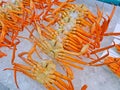 Snow Crab ( Zuwaigani) Royalty Free Stock Photo