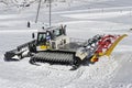 Snow Crawler Royalty Free Stock Photo