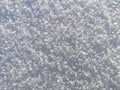 Snow crumbly white background, on a frosty sunny day in January