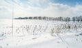 Snow crust in the field, weather phenomenon