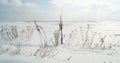 Snow crust in the field, weather phenomenon