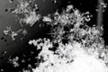 Snow Crystals Royalty Free Stock Photo