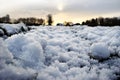 Snow crystals form into balls of protruding shards of ice in a field of grass.