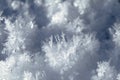 Snow crystals on the ground Royalty Free Stock Photo