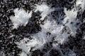 Snow crystals on the ground Royalty Free Stock Photo