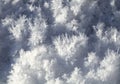 Snow crystals on the ground Royalty Free Stock Photo