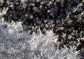 Snow crystals on the ground Royalty Free Stock Photo