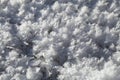 Snow crystals on the ground Royalty Free Stock Photo