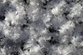 Snow crystals on the ground Royalty Free Stock Photo