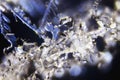 Snow Crystals Royalty Free Stock Photo