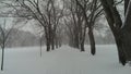 Snow on the CSU Oval
