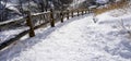 Snow and curved walkway in the forest Noboribetsu onsen