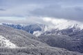 snow day on the alps in val di fiemme Royalty Free Stock Photo