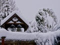 Snow Day SE Portland OR USA_ Portland Area Hit With Historic Snowfall -1/11/2017