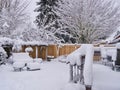 Snow Day SE Portland OR USA_ Portland Area Hit With Historic Snowfall -1/11/2017