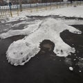 The snow dinosaurus.