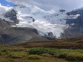 Snow Dome Mountain and Glacier