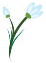Snow drop flat, illustration, vector Royalty Free Stock Photo