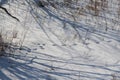 Snow dunes in the field / Shadows in the snow /