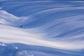 Snow dunes interleave blue shadows