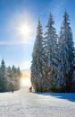 Snow dust dazzle shining on winter skiing slope Royalty Free Stock Photo