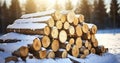Snow-Dusted Chopped Wood Neatly Piled Outdoors, Basking in Winter\'s Sunny Embrace