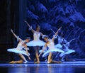 Snow elves-The first act of fourth field snow Country -The Ballet Nutcracker Royalty Free Stock Photo