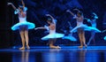 Snow elves-The first act of fourth field snow Country -The Ballet Nutcracker Royalty Free Stock Photo