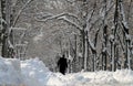 Snow - Extreme winter in Romania