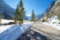 Snow fall early winter and late autumn. Winter road in the forest. Royalty Free Stock Photo