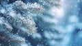 snow fall in winter forest. Christmas new year magic Royalty Free Stock Photo