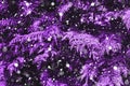 Snow fall in winter forest. Purple tone Royalty Free Stock Photo