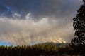 Snow falling on mountains with a pine forest in the foreground. Flagstaff, Arizona. Royalty Free Stock Photo