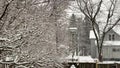 Snow falling in Marinette, Wisconsin 2019, snowing in the backyard, dead tree. very cold winter.