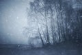 Snow falling over frozen landscape in winter Royalty Free Stock Photo