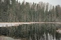 Snow falling over pine trees reflecting in an Estonian lake Royalty Free Stock Photo