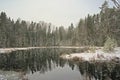 Snow falling over pine trees reflecting in an Estonian lake Royalty Free Stock Photo