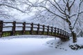 Snow falling in park and a walking bridge in winter. Royalty Free Stock Photo