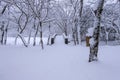 Snow falling in park and a walking bridge in winter. Royalty Free Stock Photo