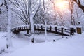 Snow falling in park and a walking bridge in winter.