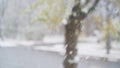 Snow falling in slow motion with blurred trees on background Royalty Free Stock Photo