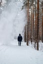 Snow falling from a tree on the head of a walking man along a forest path